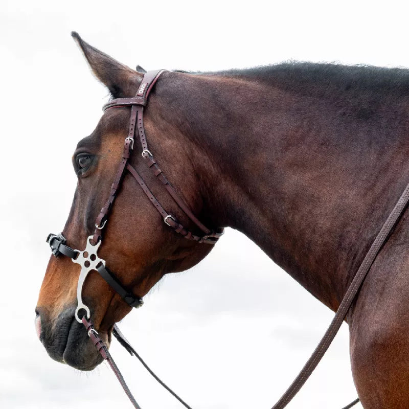 CWD Hackamore Hoofdstel