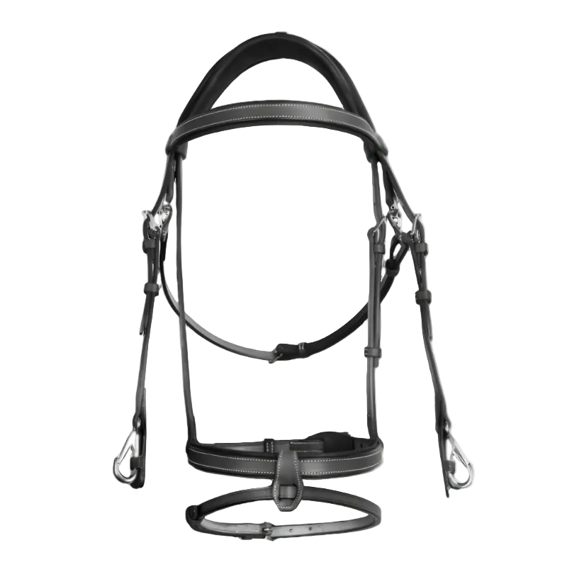 CWD Training Bridle French Noseband