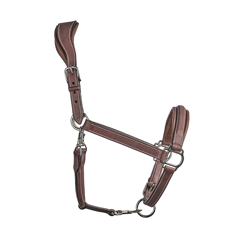 CWD Lederhalfter
