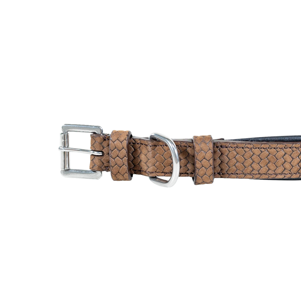 Dy'on Hondenhalsband Basket