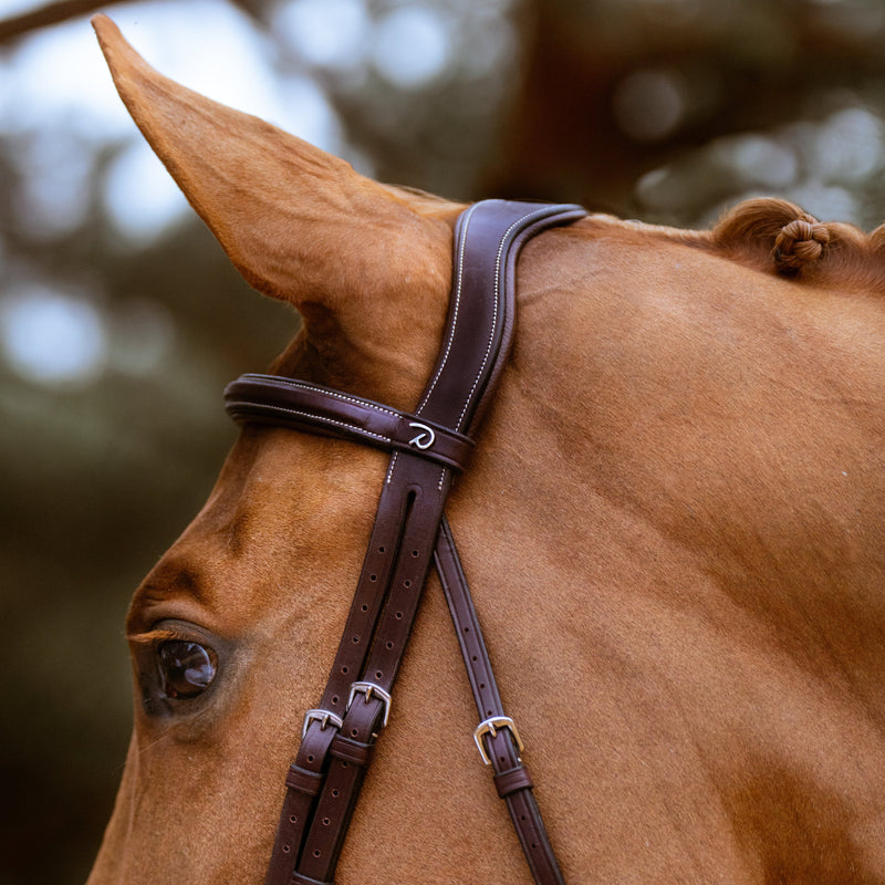 Dy'on Headpiece With Throat Latch - US Collection