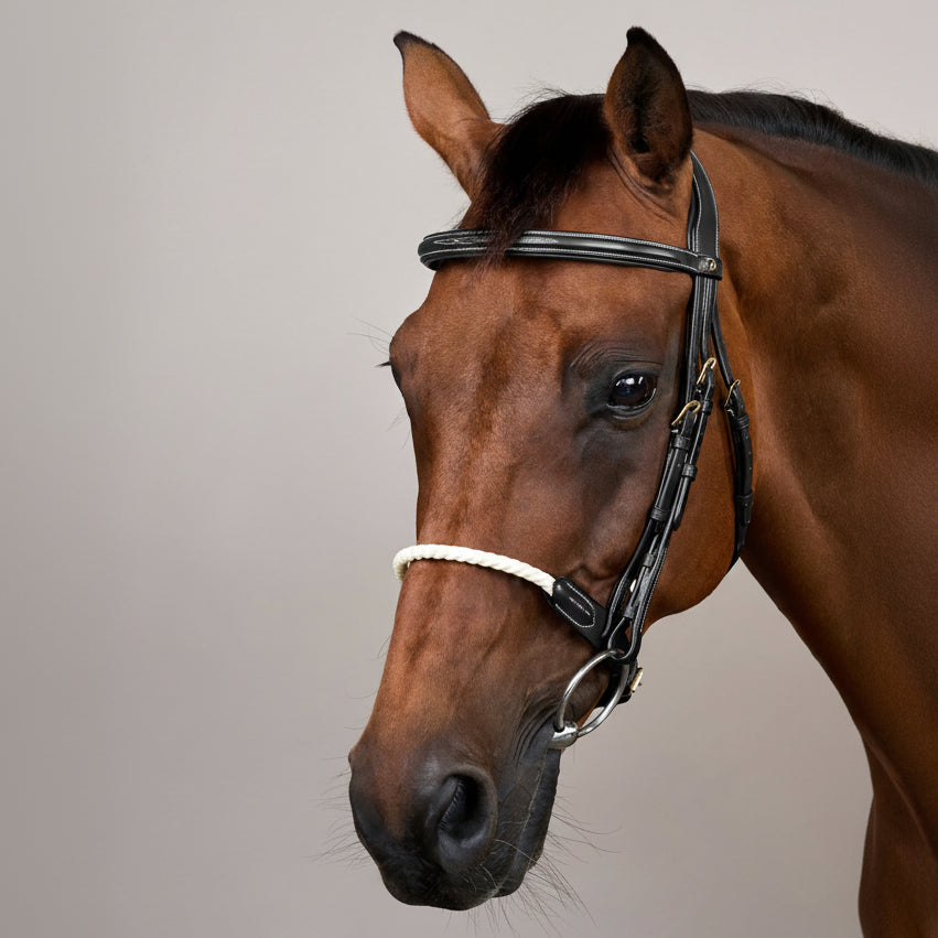 Dy'on Rope Noseband Bridle