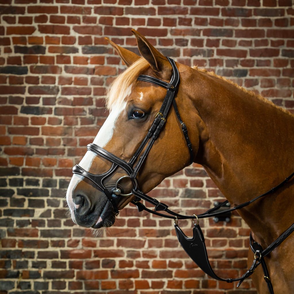 Dy'on Double Noseband Bridle