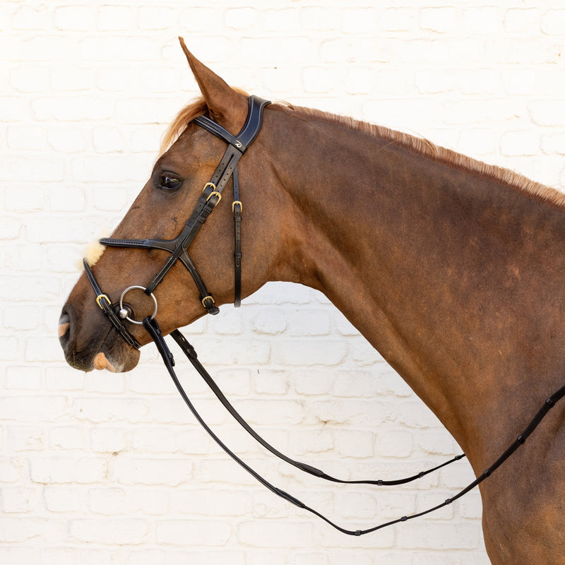 Dy'on Plaited Figure 8 Hoofdstel