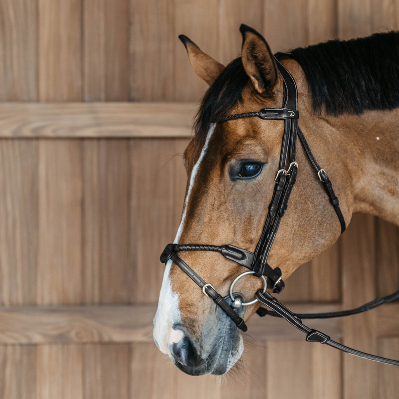 Dyon Braided Noseband Bridle With Removable Flash - D-Collection