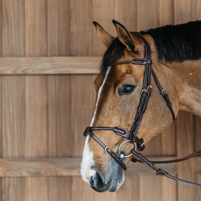 Dyon Braided Noseband Bridle With Removable Flash - D-Collection
