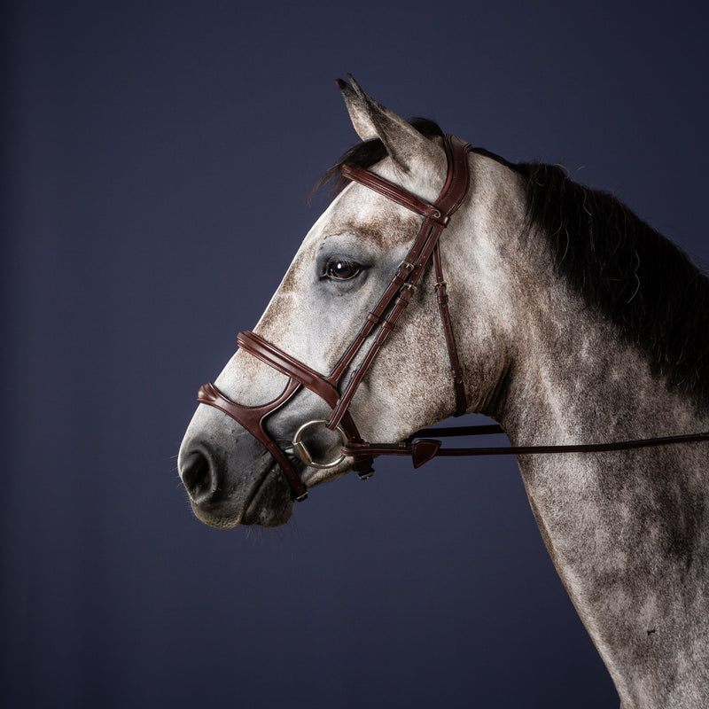 Dy'on Hoofdstel Dubbele Neusriem - New English Collectie