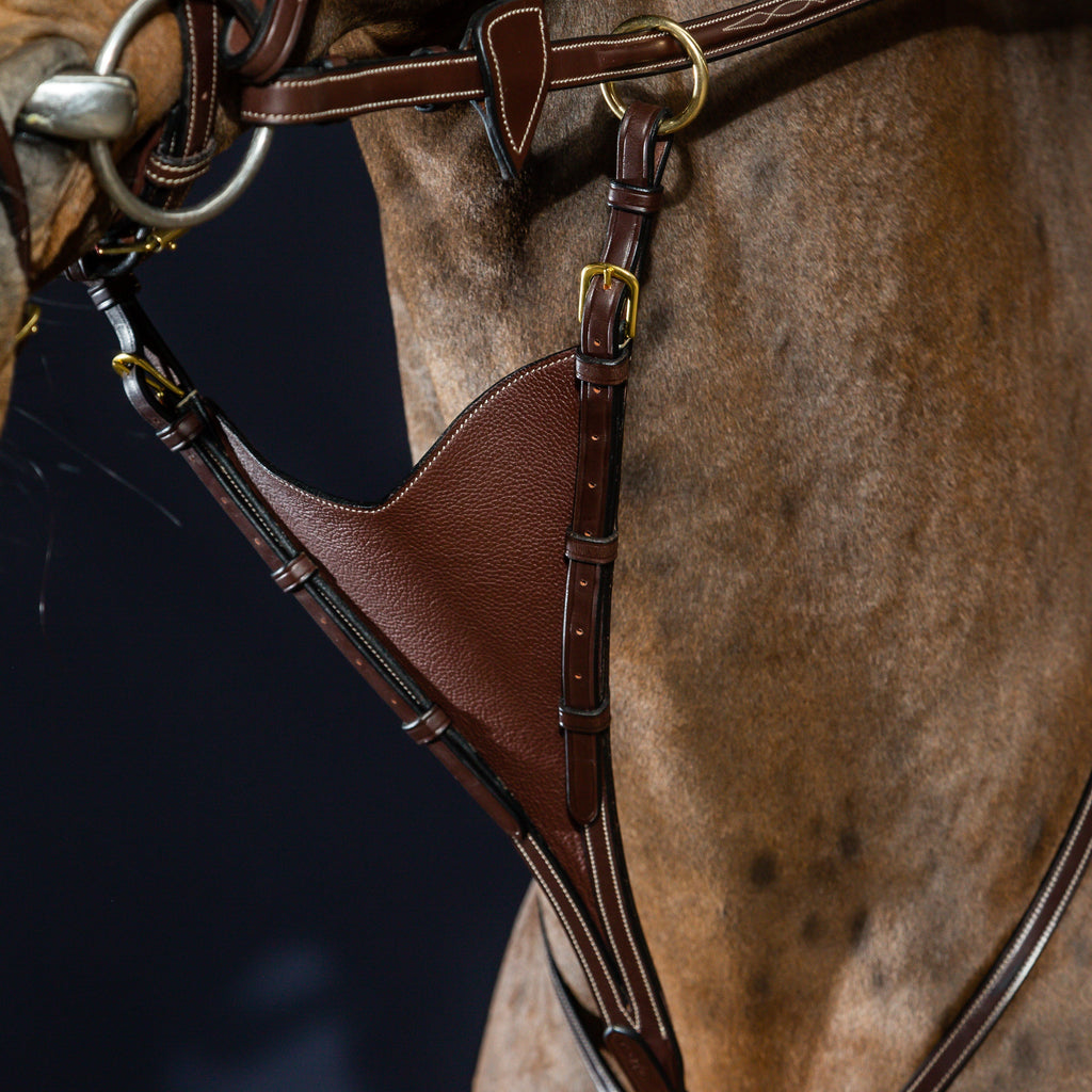 Dy'on Bib Martingale Attachment