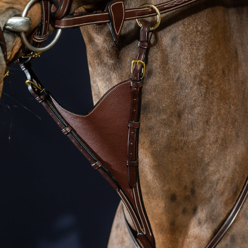 Dy'on Bib Martingale Attachment