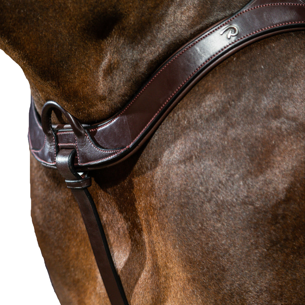 Dy'on Anatomisch Borsttuig - New English Collectie