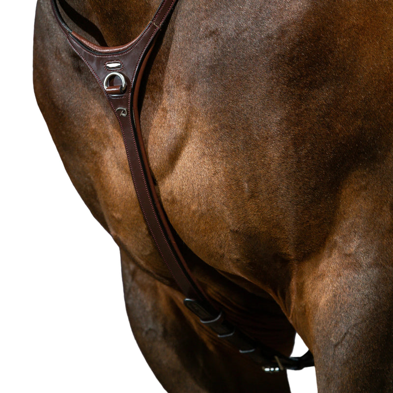 Dy'on Joch - Neue Englische Kollektion
