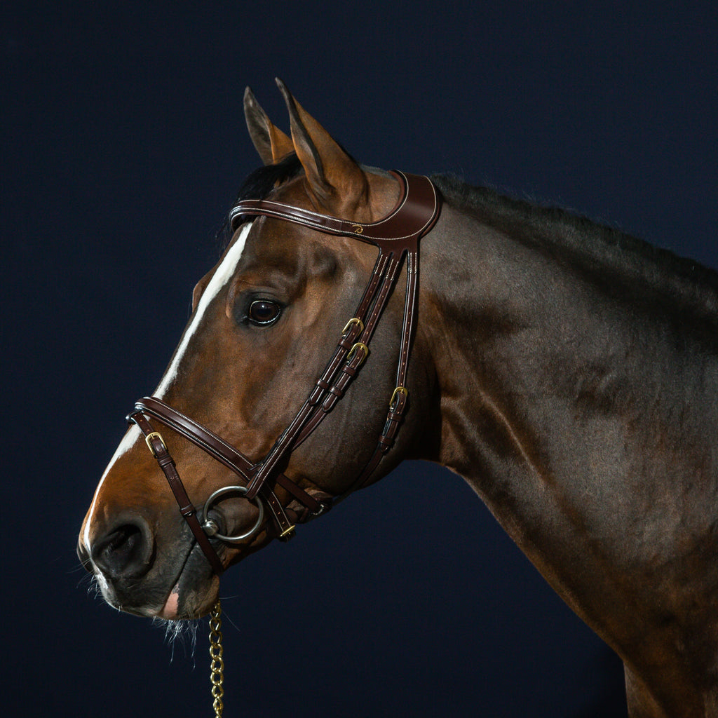 Dy'on Difference Bridle - D Collection