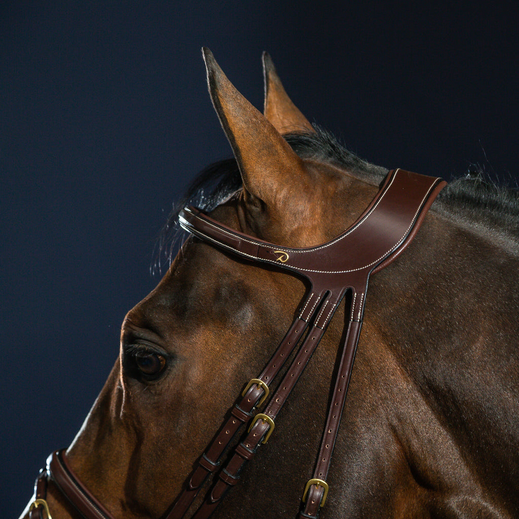 Dy'on Difference Bridle - D Collection