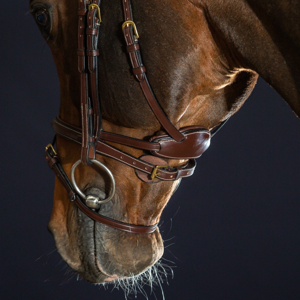 Dy'on Difference Bridle - D Collection