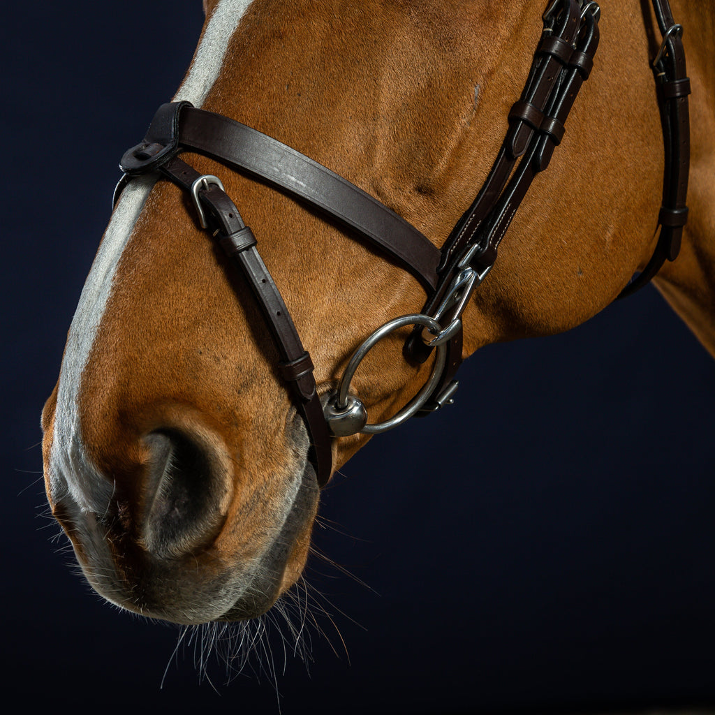 Dy'on Flat Leather Hoofdstel Met Clips