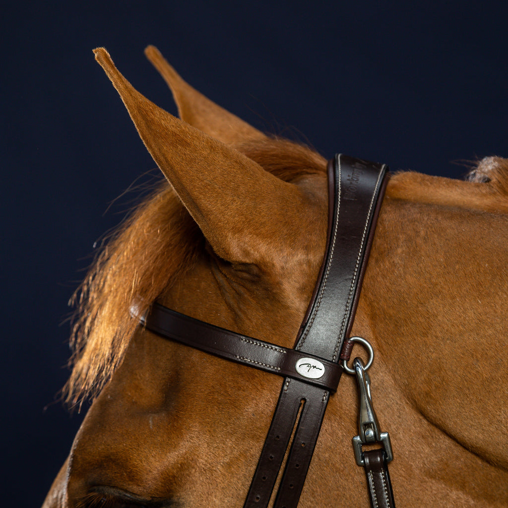 Dy'on Flat Leather Hoofdstel Met Clips