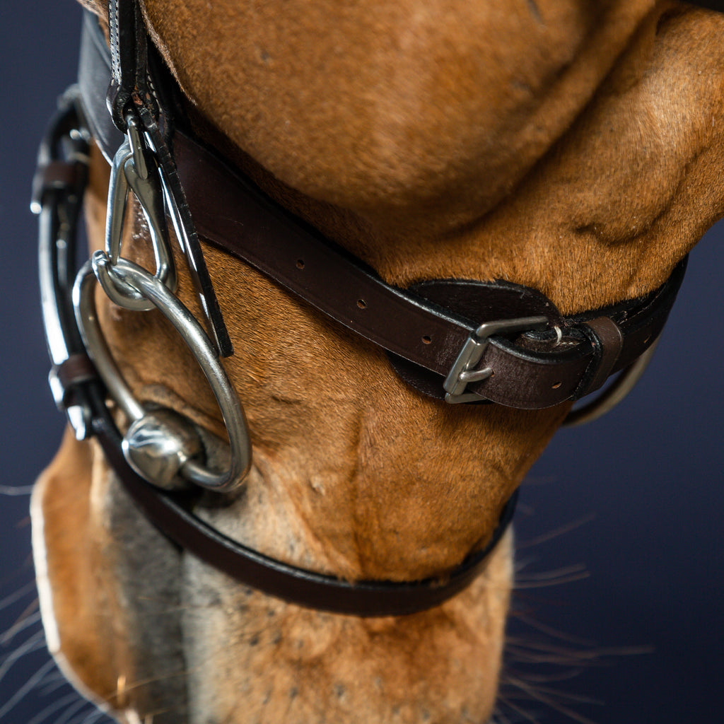 Dy'on Flat Leather Hoofdstel Met Clips