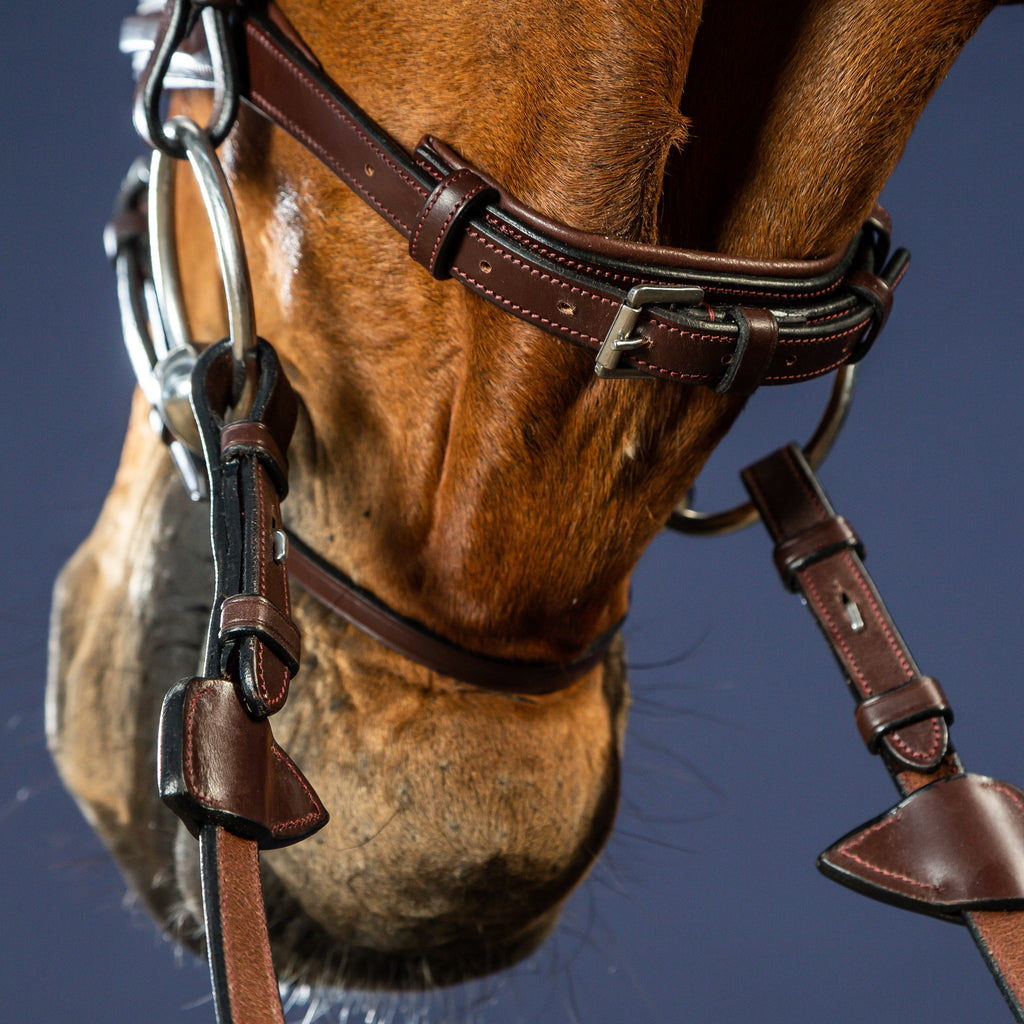 Dy'on Flash Noseband Bridle - New English Collection