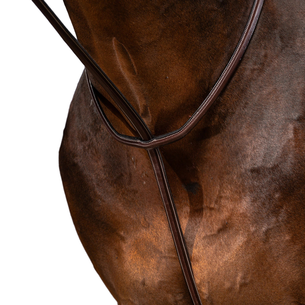 Dy'on Stehendes Martingal - US Hunter Kollektion