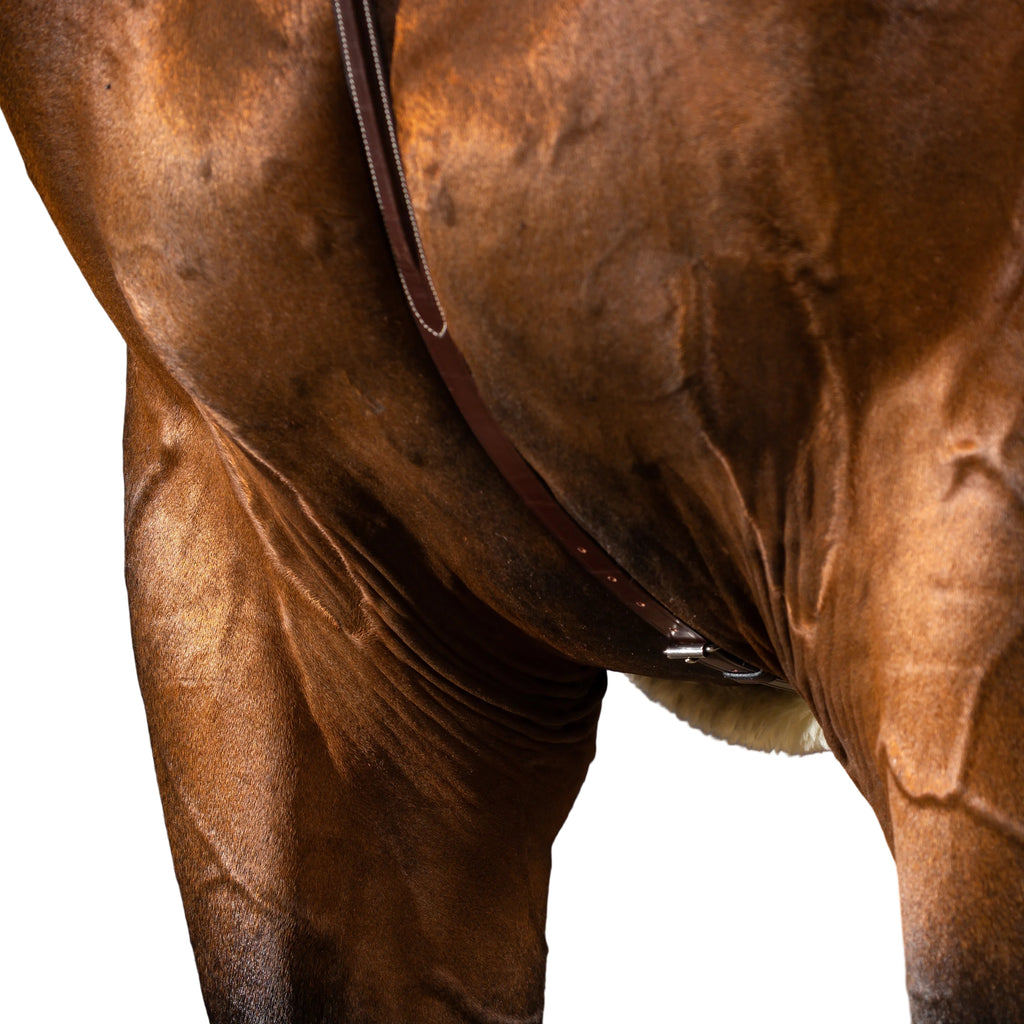 Dy'on Stehendes Martingal - US Hunter Kollektion