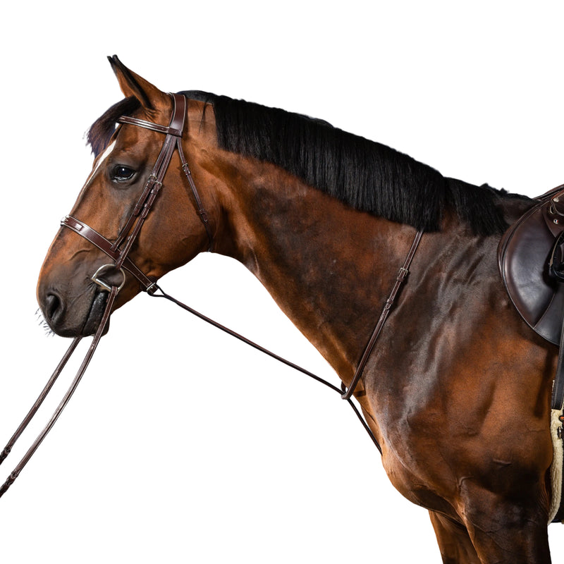 Dy'on Standing Martingale - US Hunter Collection