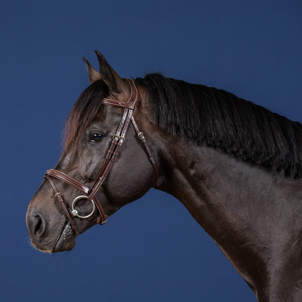 Dy'on Bridle Flash Noseband - US Collection
