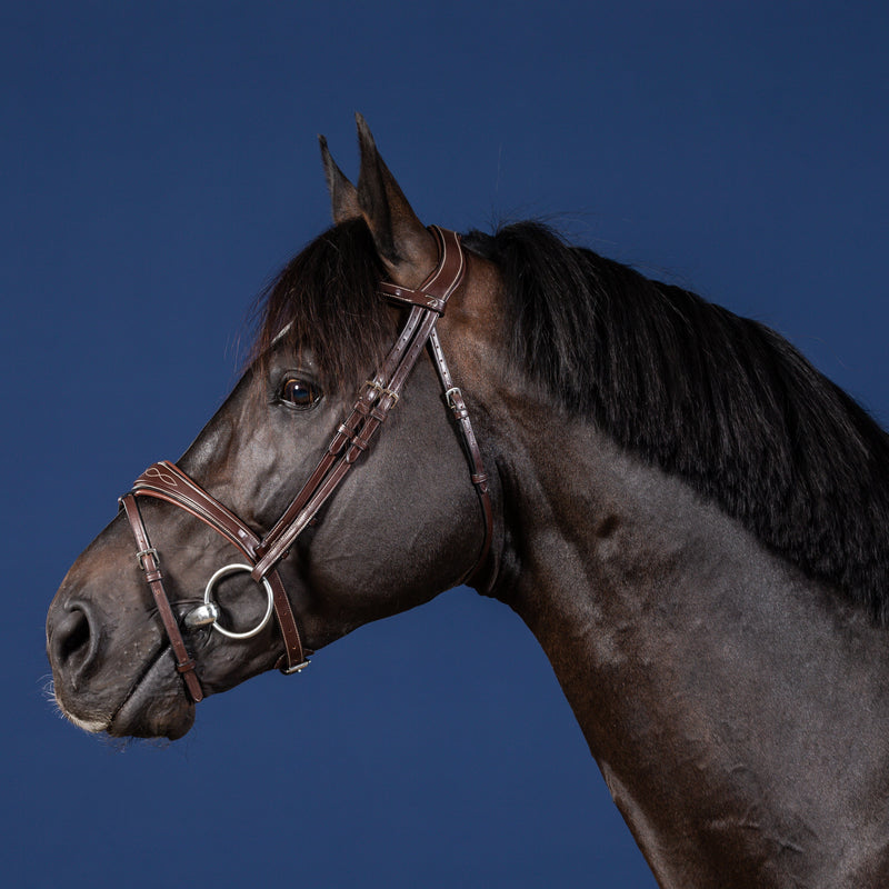 Dy'on Anatomisch Hoofdstel Flash Neusriem - US Collectie