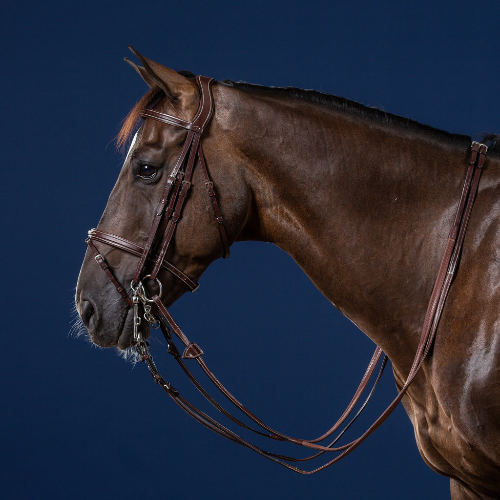 Dy'on Flash Noseband Double Bridle - US Collection