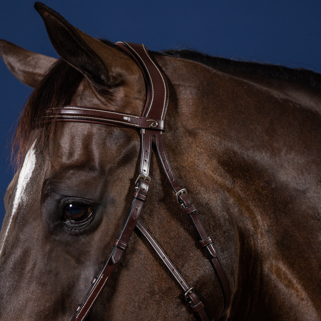 Filet hackamore Dy'on - Collection US