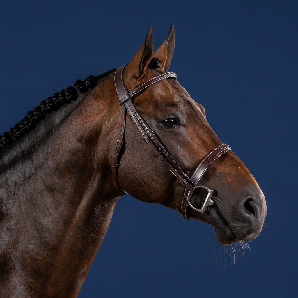Dy'on Hoofdstel Hunter Neusriem - US Hunter Collectie