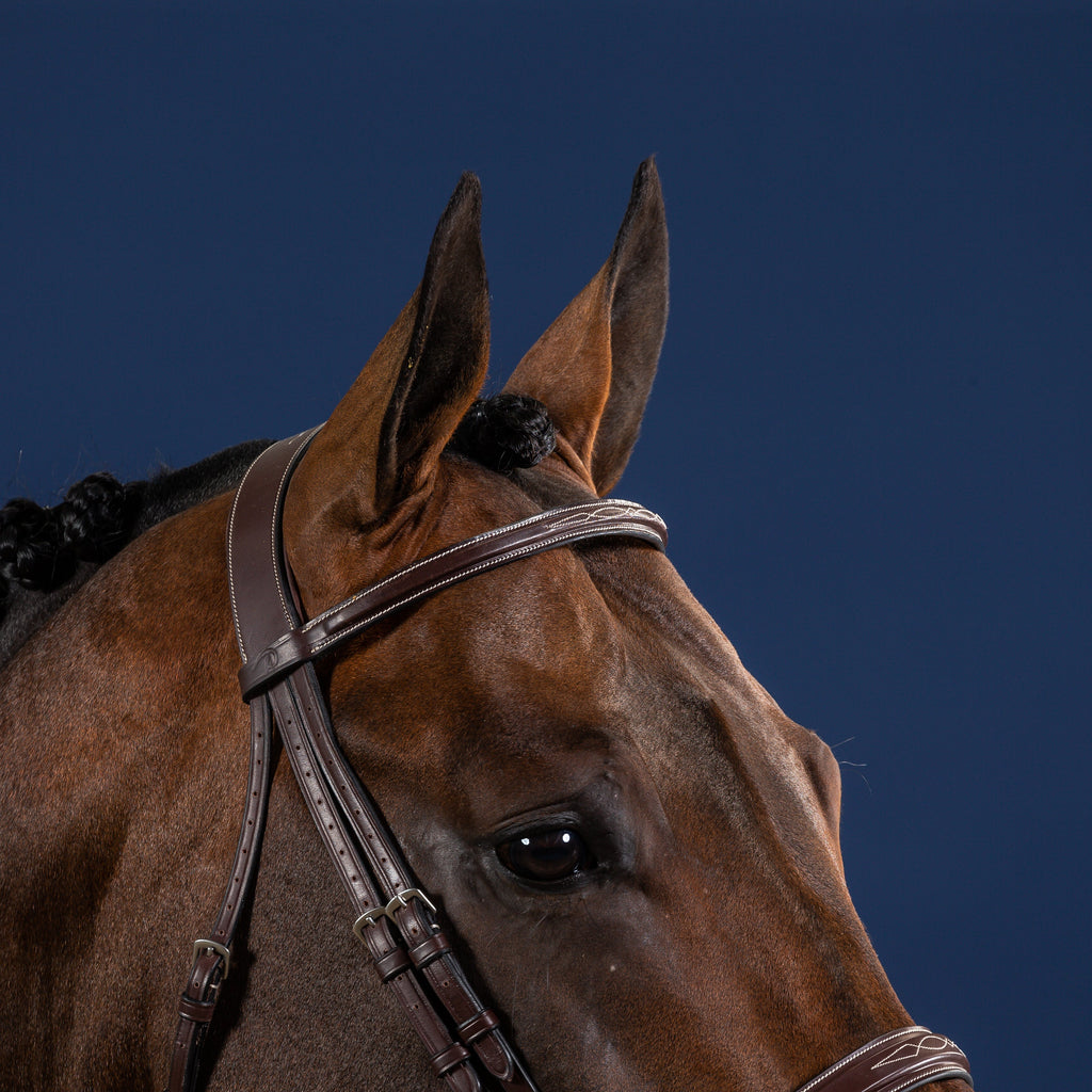 Dy'on Hoofdstel Hunter Neusriem - US Hunter Collectie