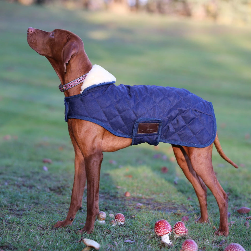 Tapis pour chien Kentucky - Original