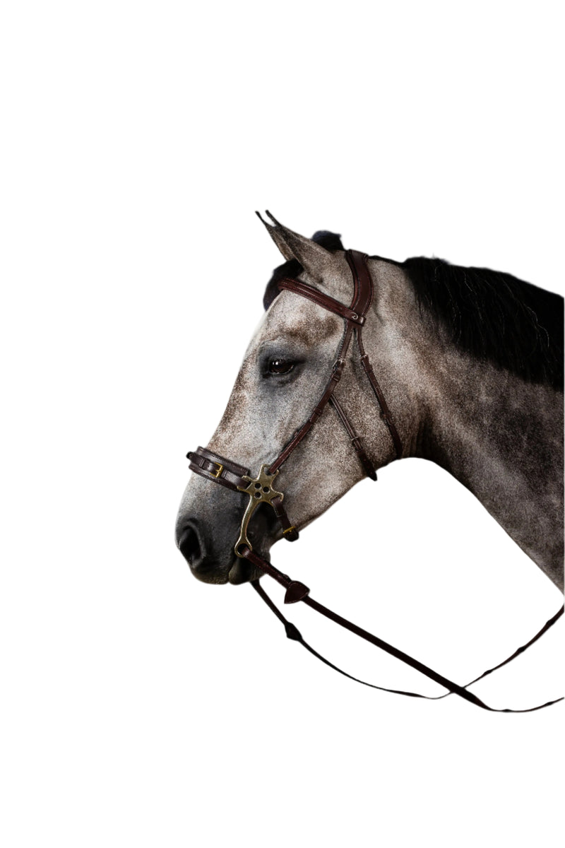Dy'on Hackamore Hoofdstel - New English Collectie