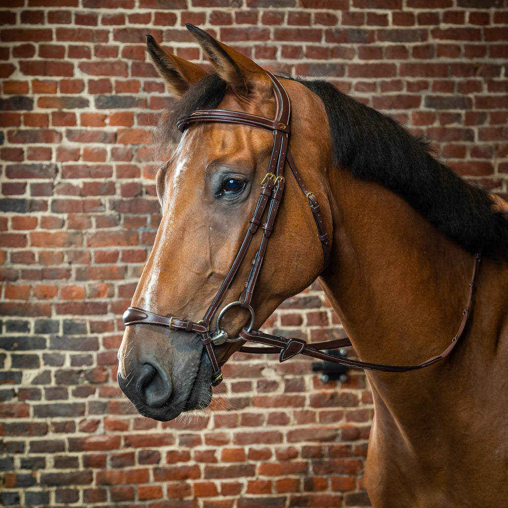 Dy'on Hoofdstel Met Verstelbare Lage Neusriem - D Collectie
