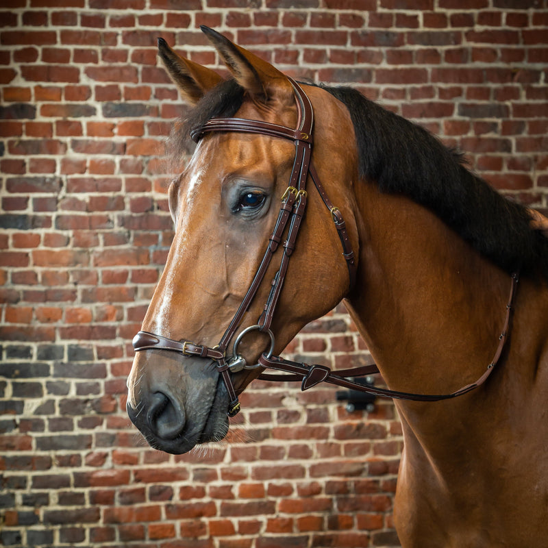 Dy'on Hoofdstel Met Verstelbare Lage Neusriem - D Collectie