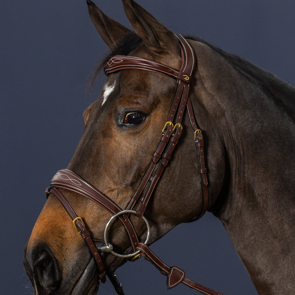 Dy'on Anatomic Flash Noseband Bridle - D Collection