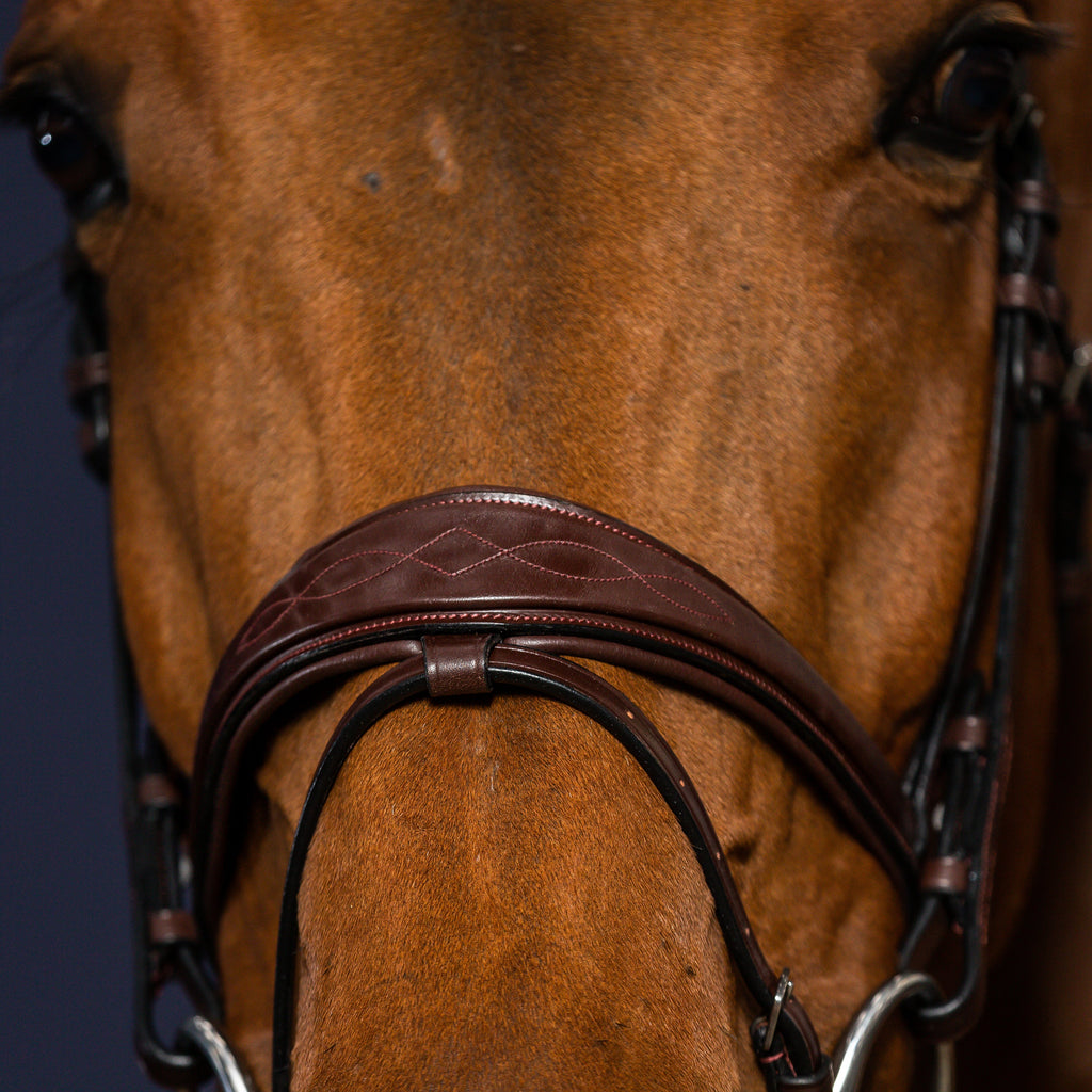 Dy'on Hoofdstel Anatomisch Flash Neusriem - New English Collectie