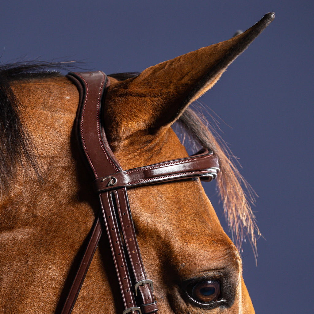 Dy'on Hoofdstel Anatomisch Flash Neusriem - New English Collectie