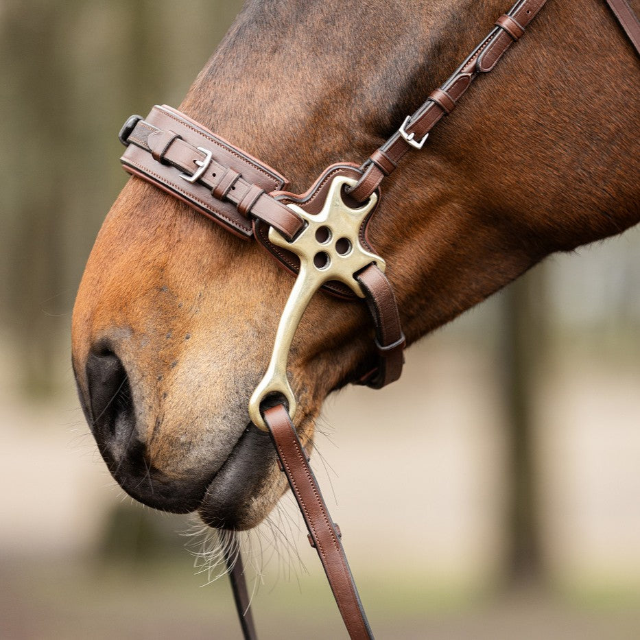 TRUST Hackamore Neusriem