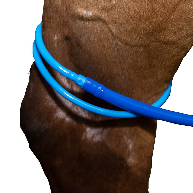 Equine Leg Cooler Voor 2 Benen