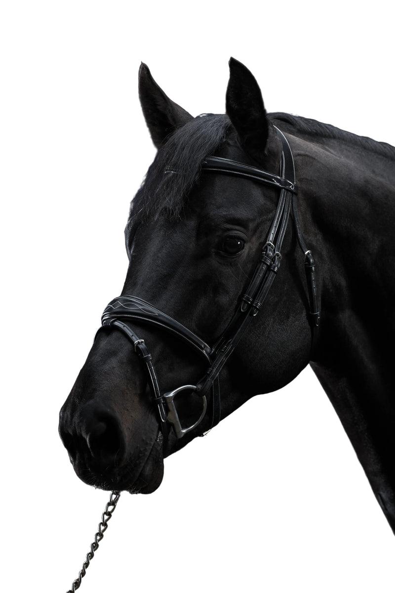 Dy'on Anatomisch Hoofdstel Flash Neusriem - US Collectie