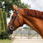 Emmers Bridle