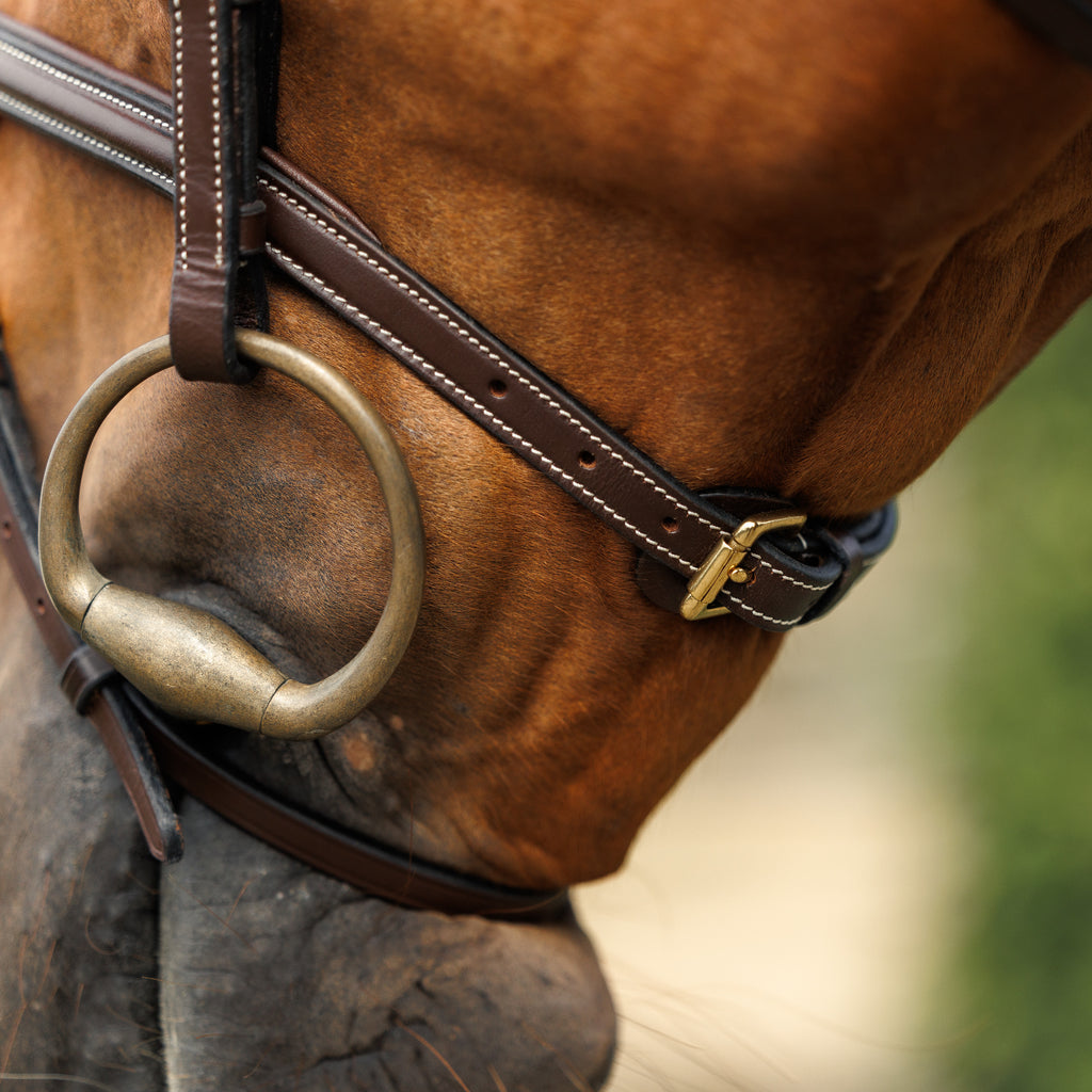 Emmers Bridle