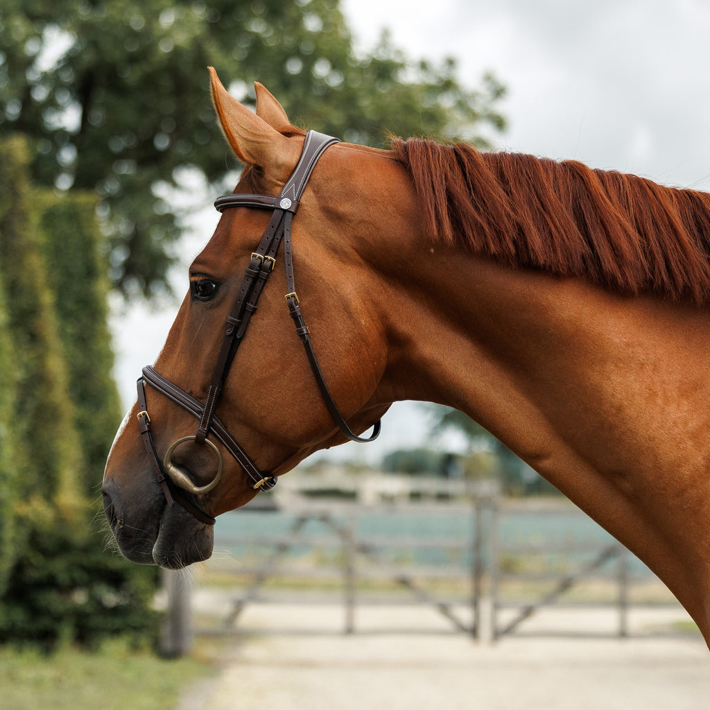 Emmers Bridle