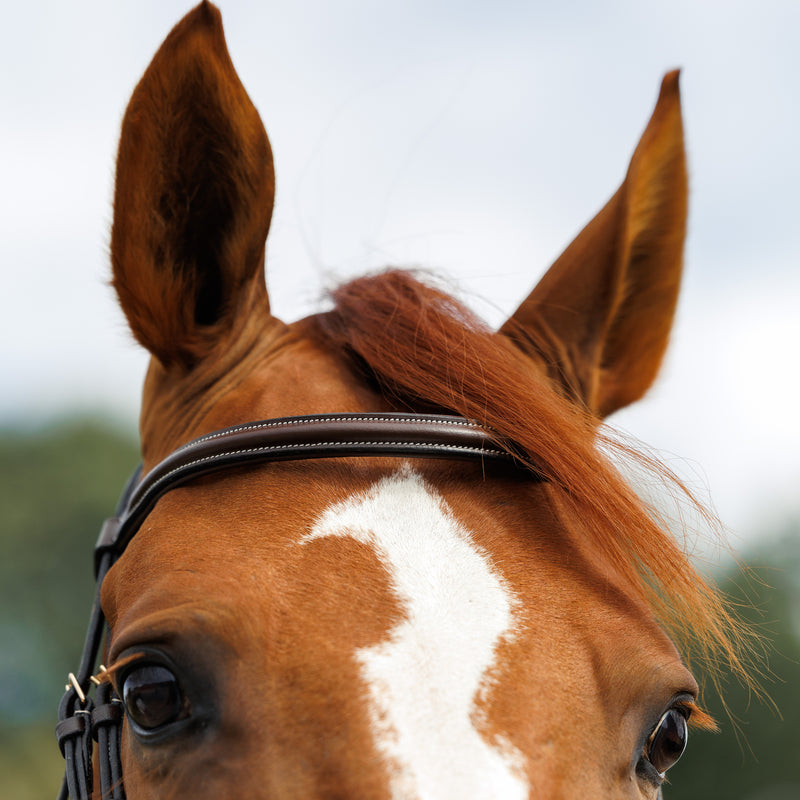 Emmers Bridle