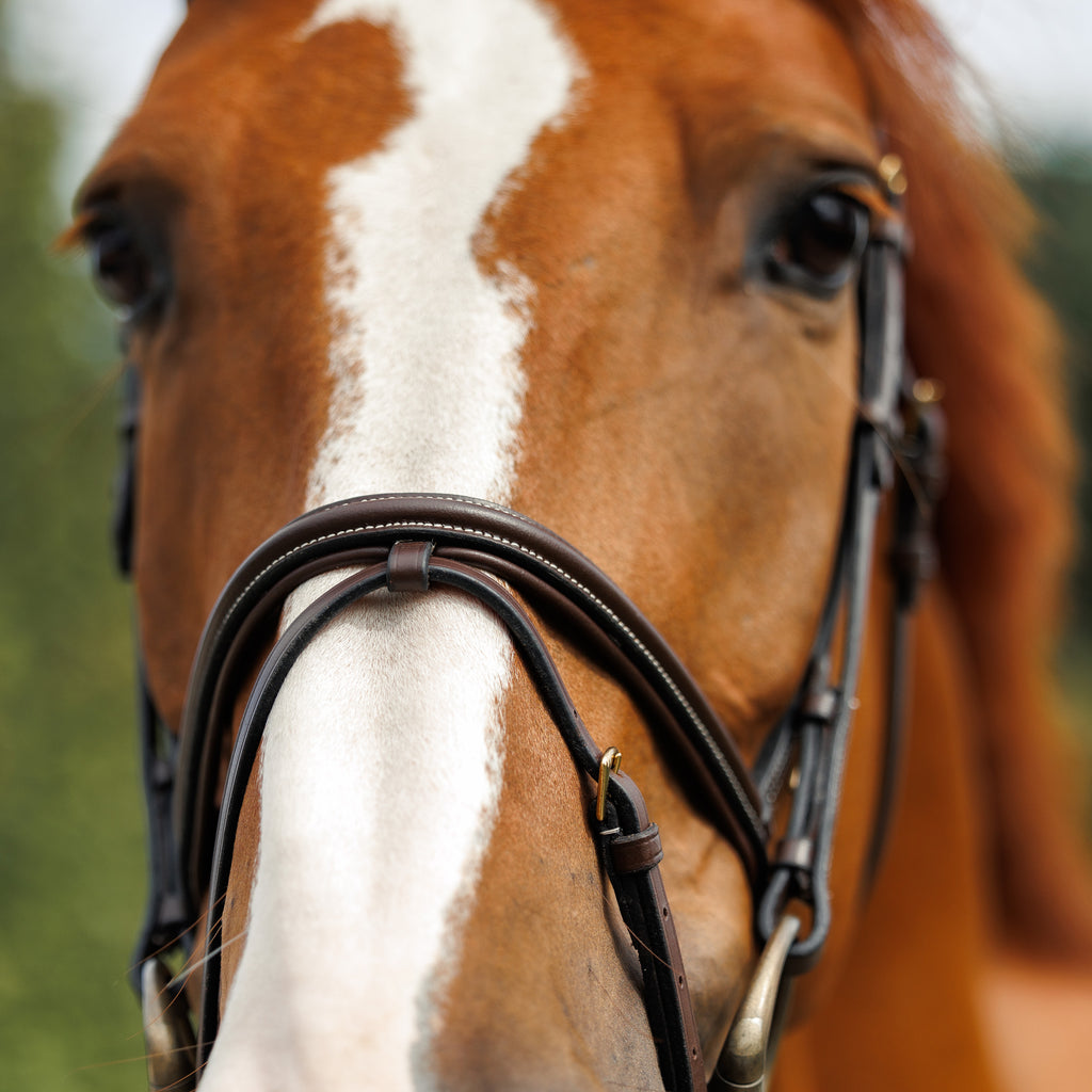 Emmers Bridle