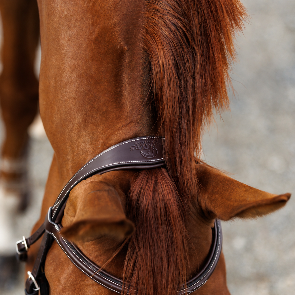 Emmers Bridle