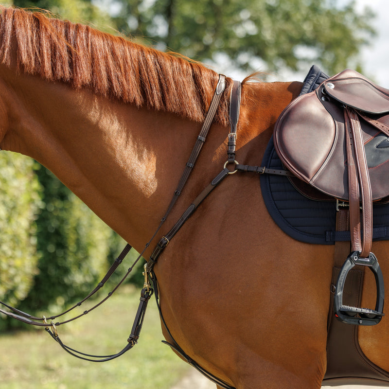 Emmers Breastplate