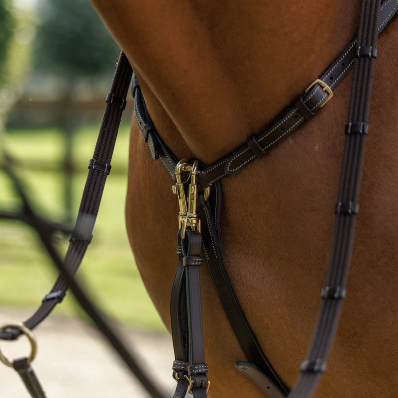Emmers Breastplate