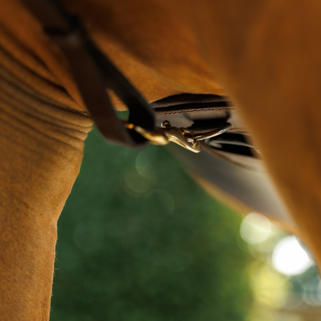 Emmers Breastplate